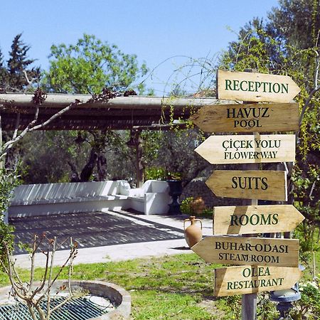 Olive Farm Of Datca Guesthouse (Adults Only) Datça Exterior foto