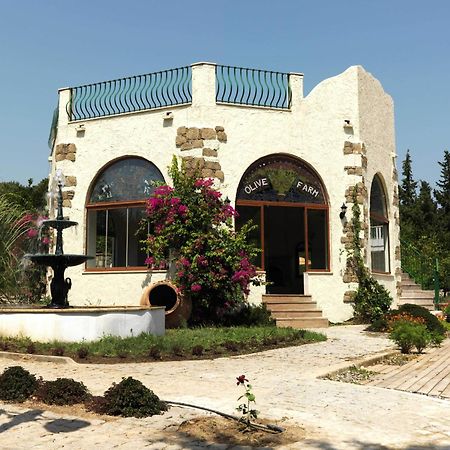 Olive Farm Of Datca Guesthouse (Adults Only) Datça Exterior foto