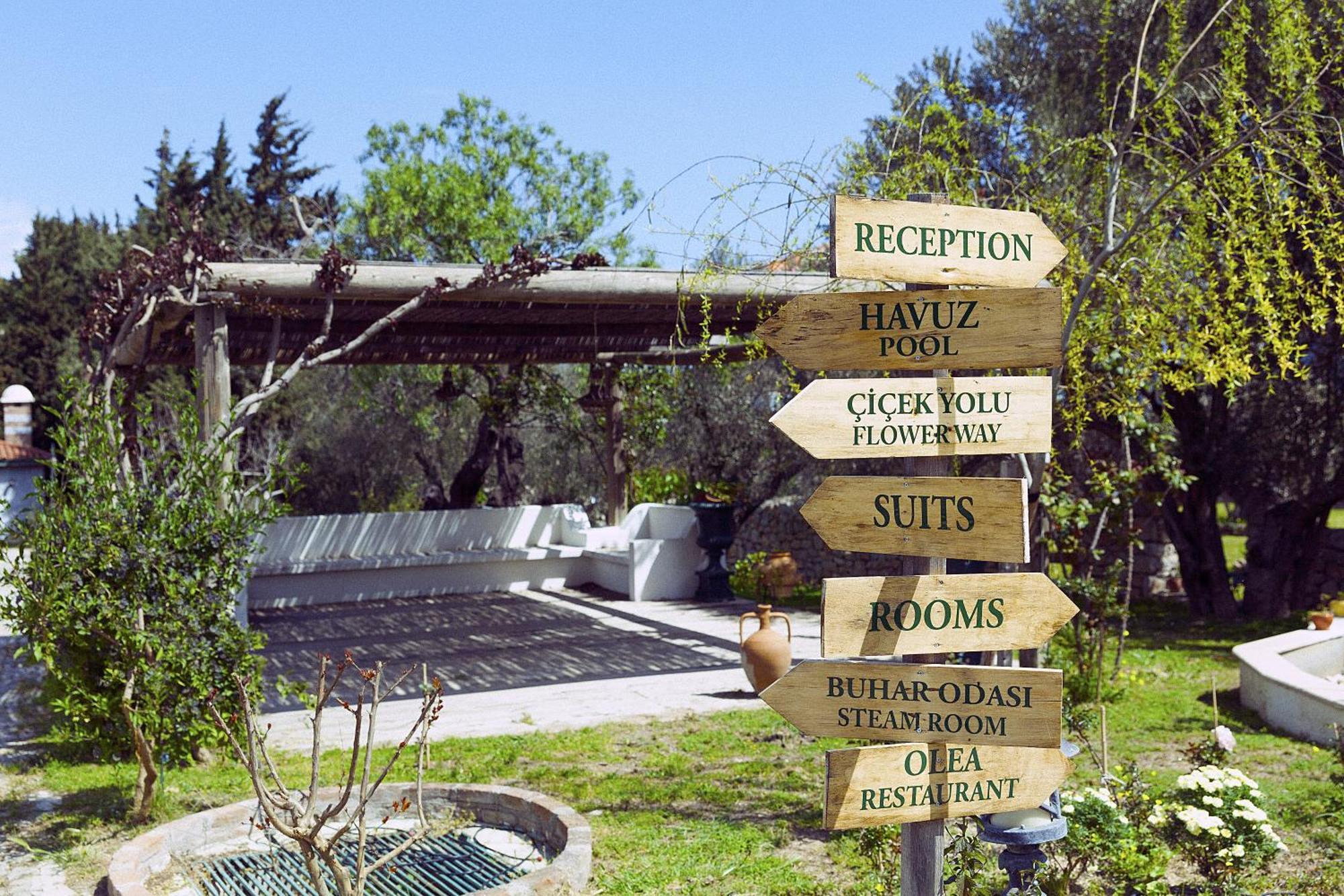 Olive Farm Of Datca Guesthouse (Adults Only) Datça Exterior foto