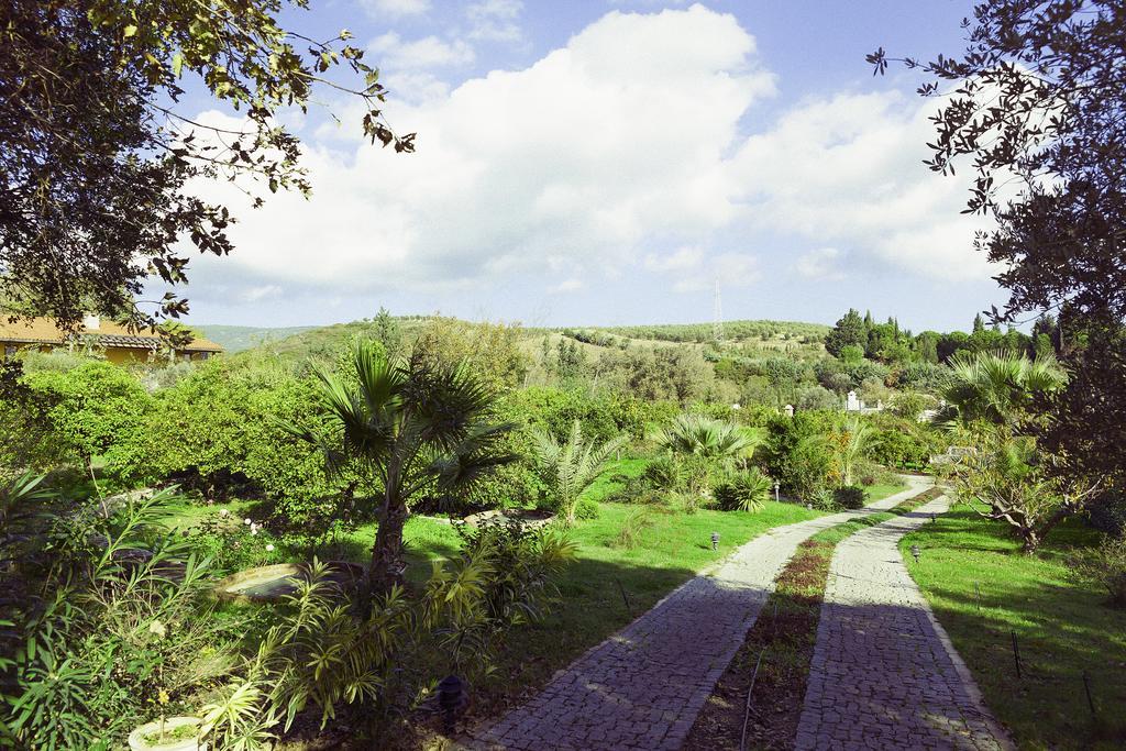 Olive Farm Of Datca Guesthouse (Adults Only) Datça Exterior foto