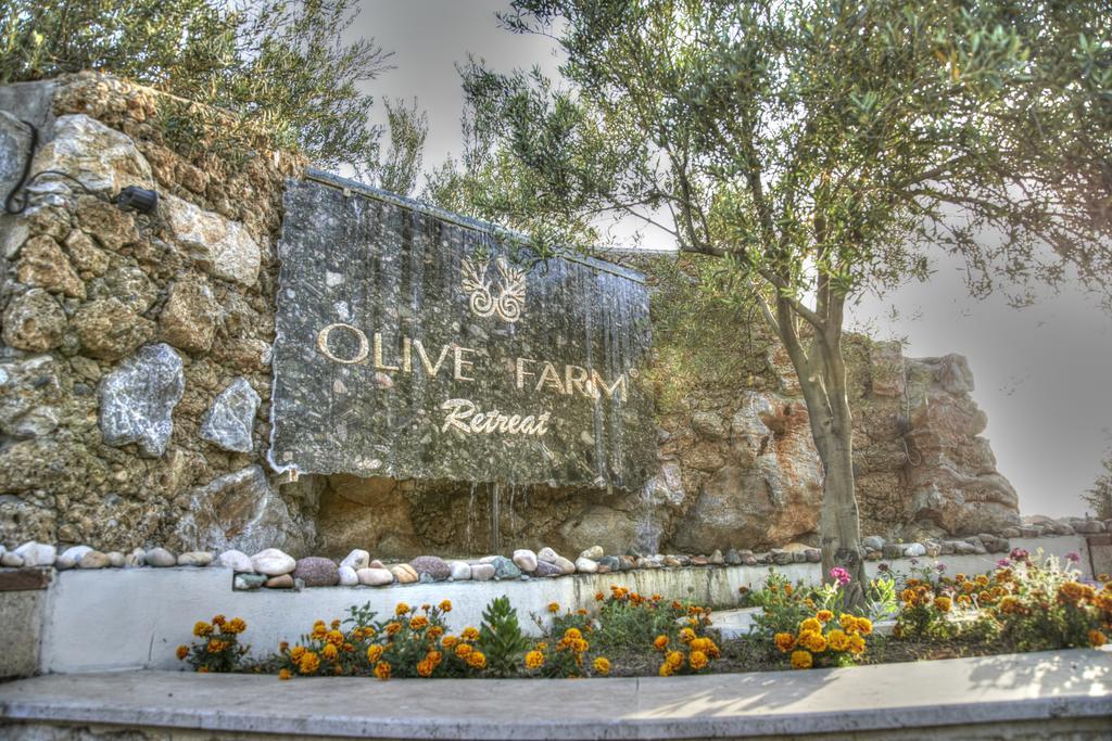 Olive Farm Of Datca Guesthouse (Adults Only) Datça Exterior foto