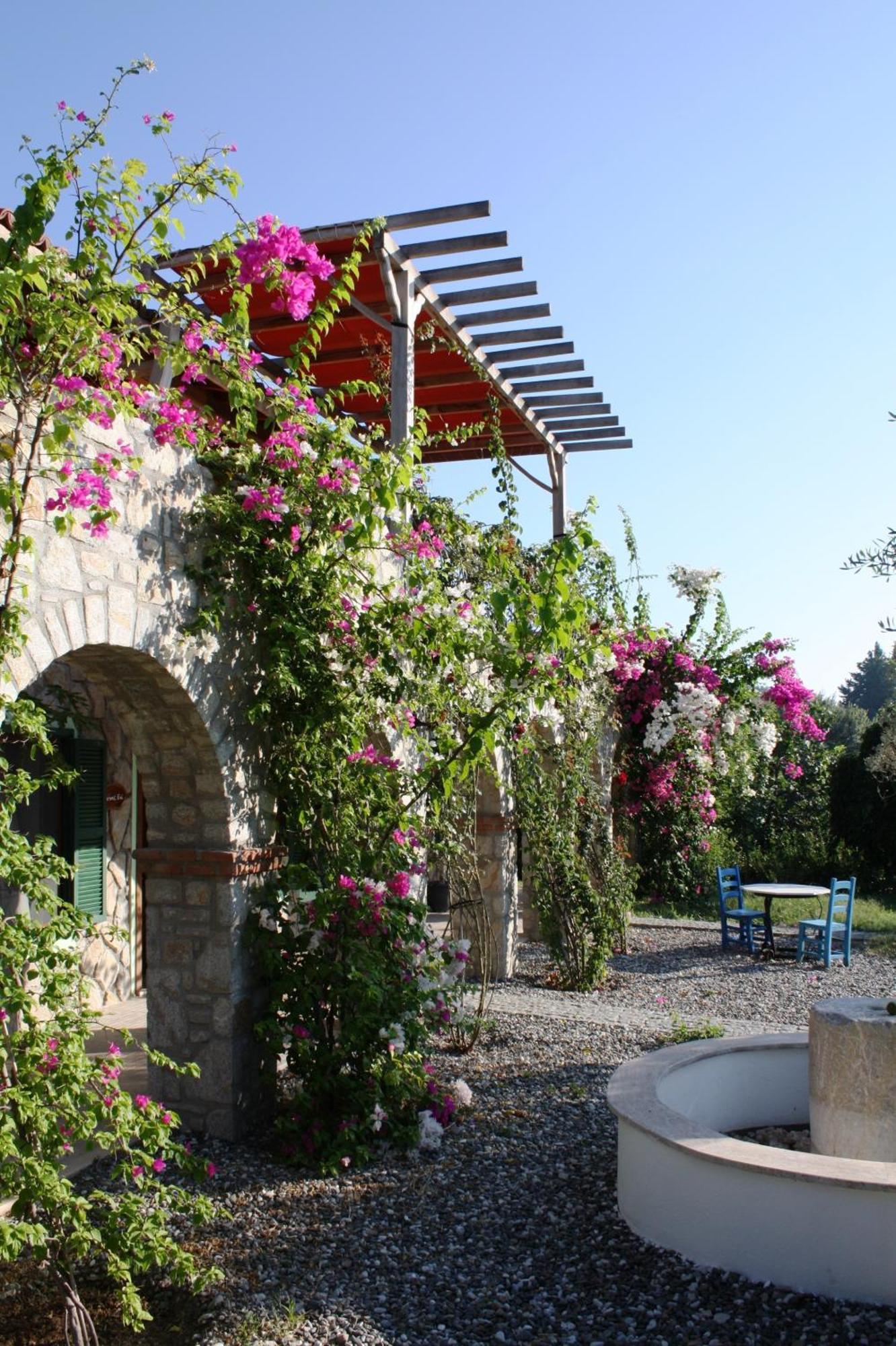 Olive Farm Of Datca Guesthouse (Adults Only) Datça Exterior foto