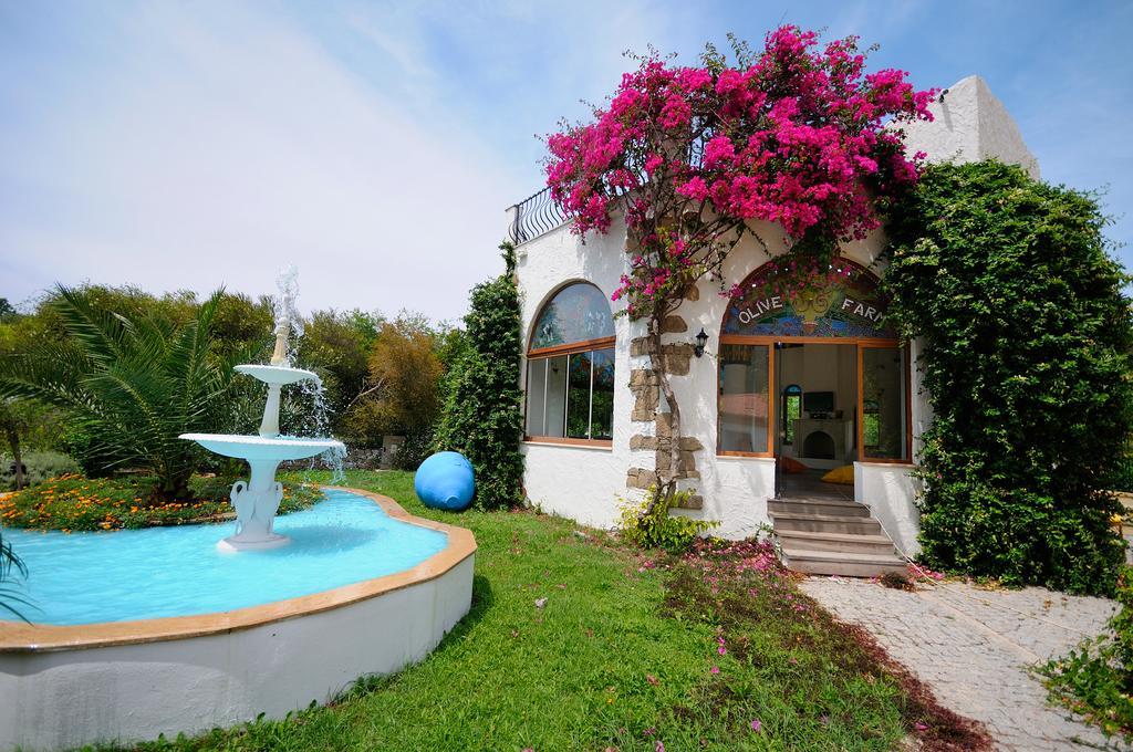 Olive Farm Of Datca Guesthouse (Adults Only) Datça Exterior foto