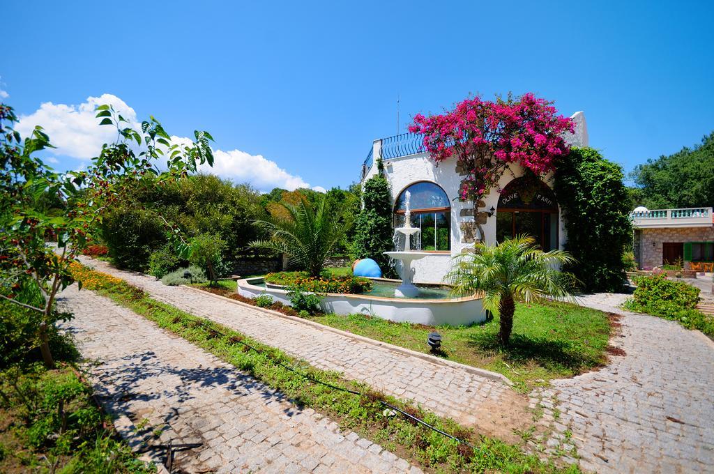 Olive Farm Of Datca Guesthouse (Adults Only) Datça Exterior foto