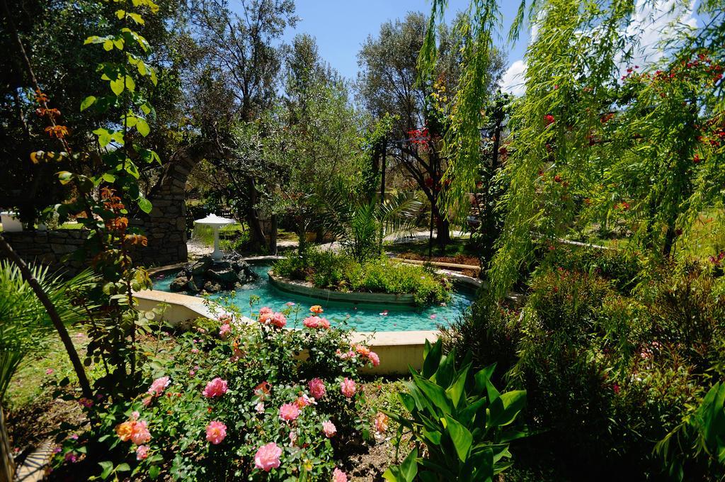 Olive Farm Of Datca Guesthouse (Adults Only) Datça Exterior foto